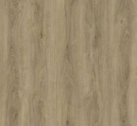 Lucca Oak